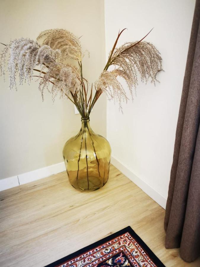 Vida Y Mar Apartamentos Peñíscola Eksteriør bilde